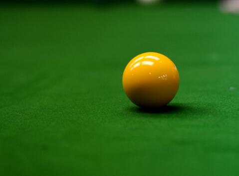 Analyze the composition of a billiard cue